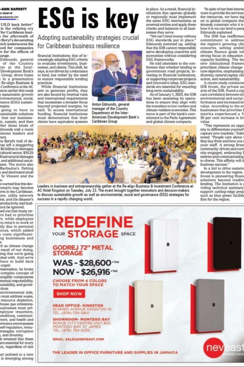 ReAlign Newspapaer clip brochure